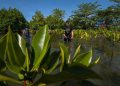 Makna Tema Hari Bumi 22 April “Invest in Our Planet”