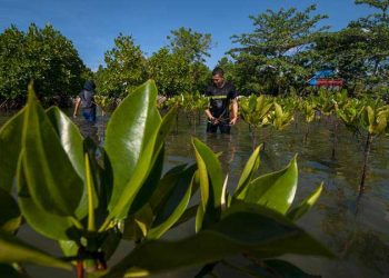 Makna Tema Hari Bumi 22 April “Invest in Our Planet”