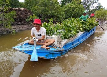 PTBA Rehabilitasi Daerah Aliran Sungai 5.197 Hektare