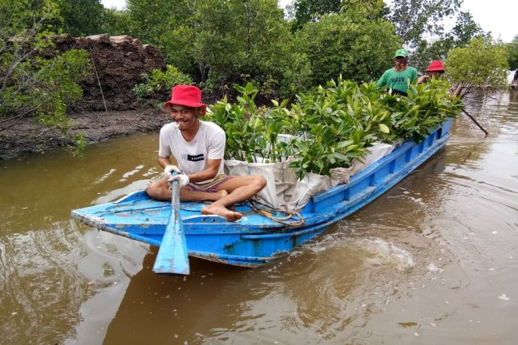 PTBA Rehabilitasi Daerah Aliran Sungai 5.197 Hektare