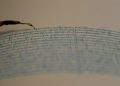 Malang Diguncang Gempa Lagi, Hingga M 4,8