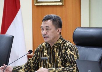 Tingkatkan Penyelenggaraan Pemerintahan di Daerah, BSKDN Kerja Sama dengan USAID-ERAT