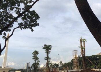 Wah! Monas Akan Kembali Ditanami Ratusan Pohon Usai Digunduli