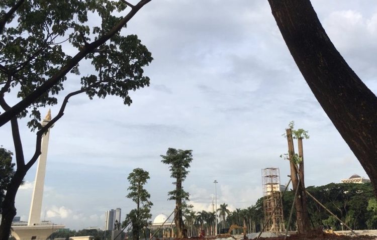 Wah! Monas Akan Kembali Ditanami Ratusan Pohon Usai Digunduli