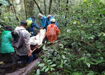 Tim SAR Evakuasi Pendaki Cedera Kaki saat Jatuh di Gunung Kerinci