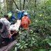 Tim SAR Evakuasi Pendaki Cedera Kaki saat Jatuh di Gunung Kerinci