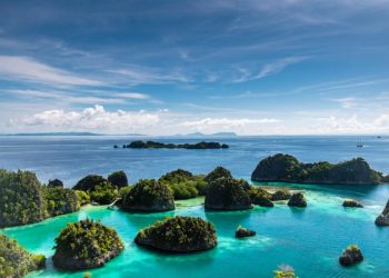 Transformasi Hijau: Langkah Strategis Menuju Cinta Alam Indonesia #SelamatkanPlanetKita