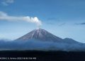 Gunung Semeru Erupsi Hari Ini