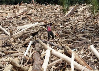 Total Korban Jiwa Capai 442 Orang di Sumatera