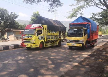 Keselamatan di Atas Segalanya: Mengapa Pengemudi Harus Patuhi Aturan Muatan